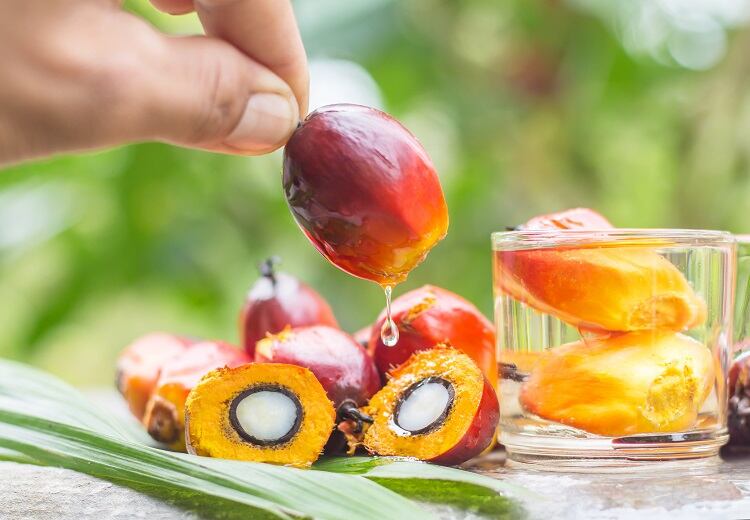 palm-oil-Wirachai.jpg
