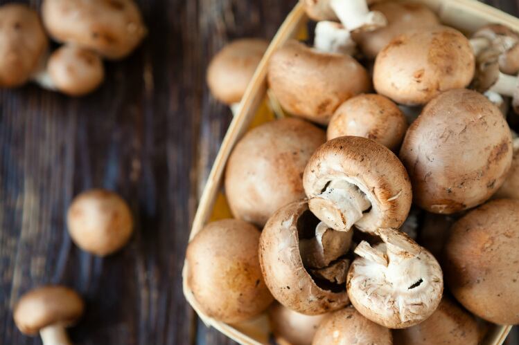 mushrooms-GettyImages-179136285_Olha_Afanasieva.jpg