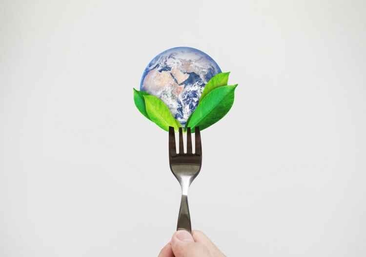PepsiCo on target to build a more sustainable food system