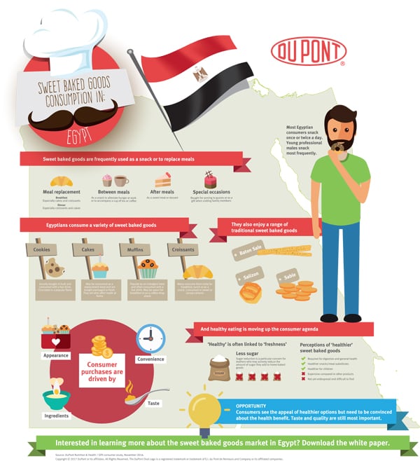 Egypt-infographics_low-res.jpg