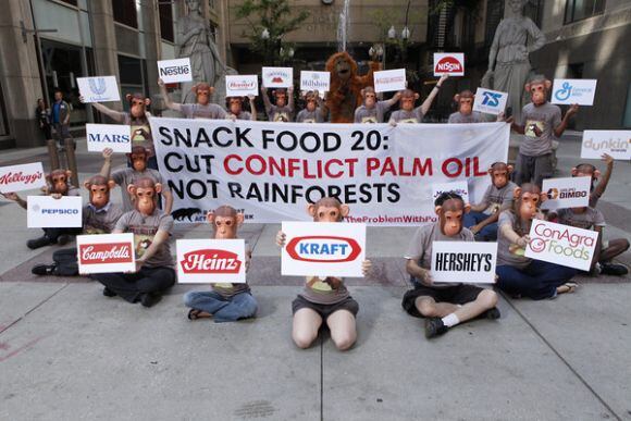 conflict-palm-protest.jpg