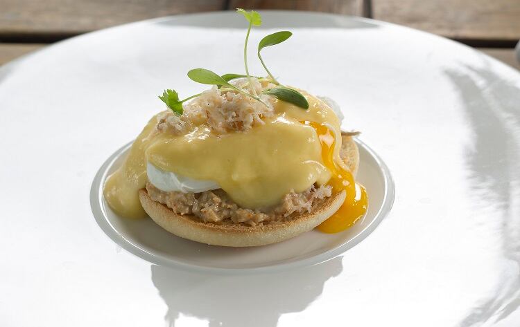 hollondaise-ChefPhotography.jpg