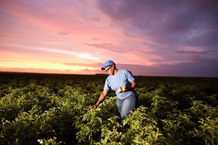 PepsiCo’s ambitious agriculture plan