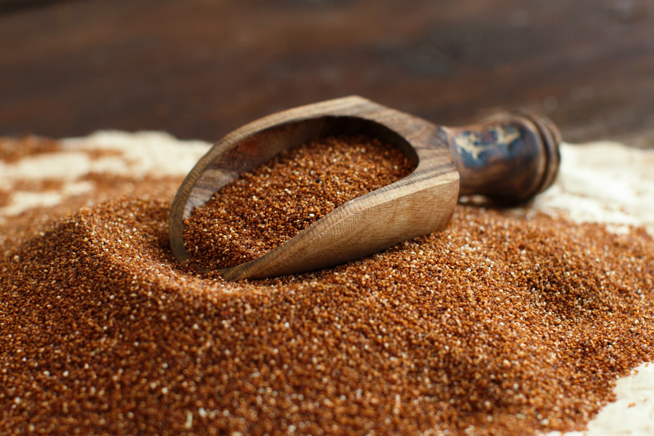 Pile of uncooked  teff grain with a spoon close up