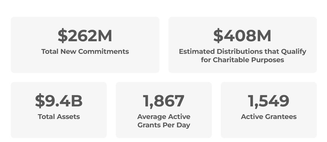 WK Kellogg Foundation snapshot