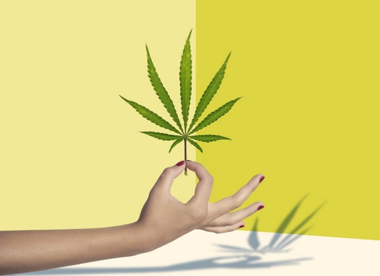 Marijuana ‘munchies’ tick up US snack sales
