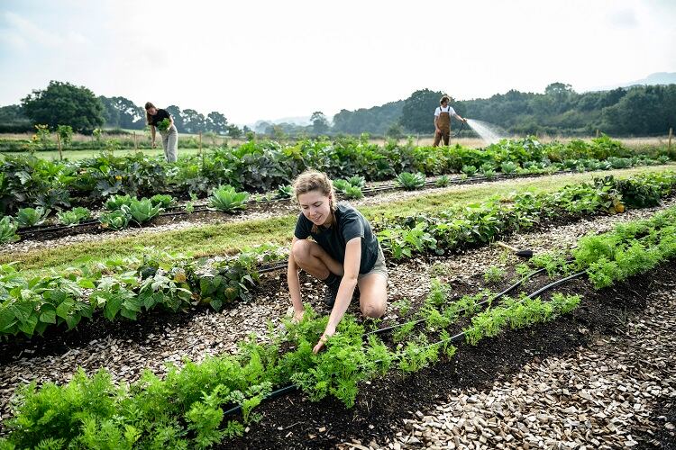 In-search-of-a-definition-of-regenerative-agriculture.jpg