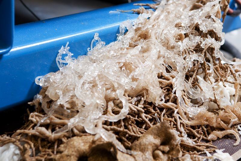 VTT tests recyclable waste extruder on bread