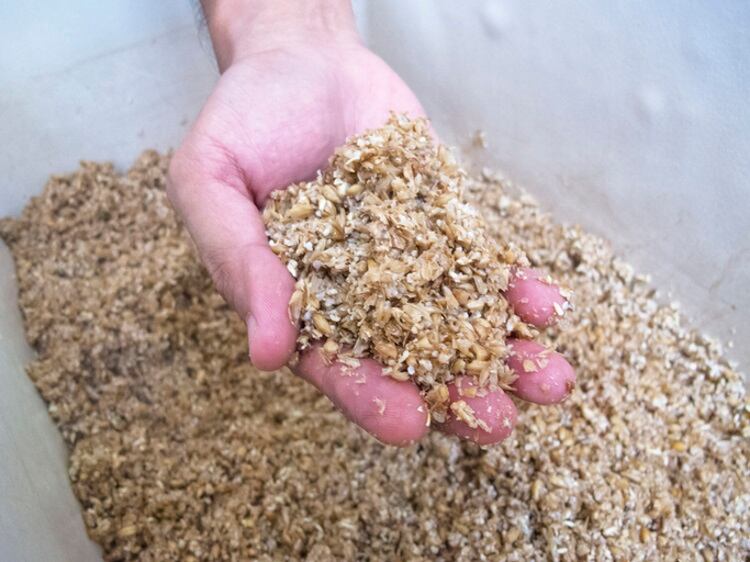 Spent-brewers-grain-Keeratikorn-Suttiwong.jpg