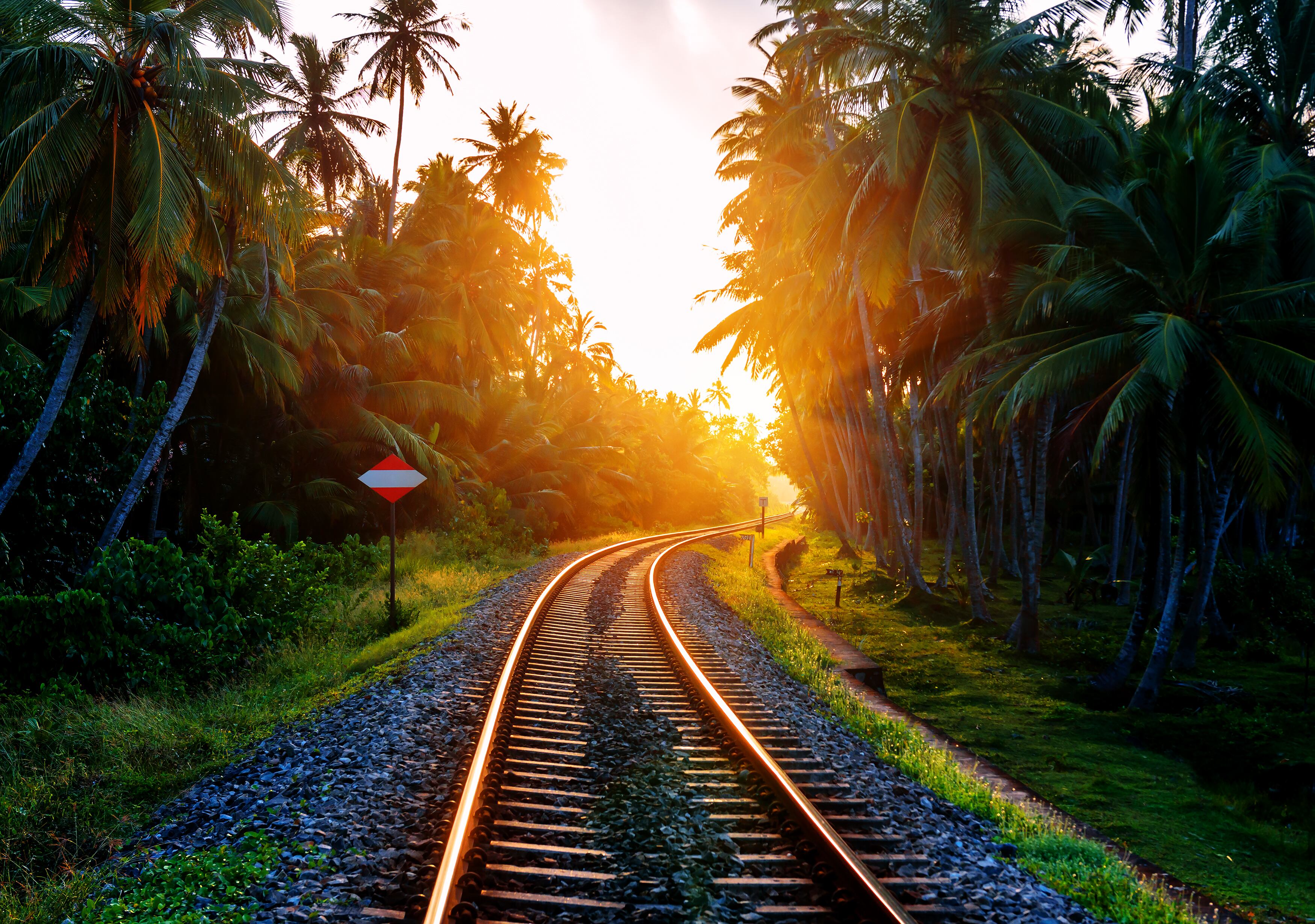 Railway in the tropical jungles on beautiful sunset. Sri Lanka