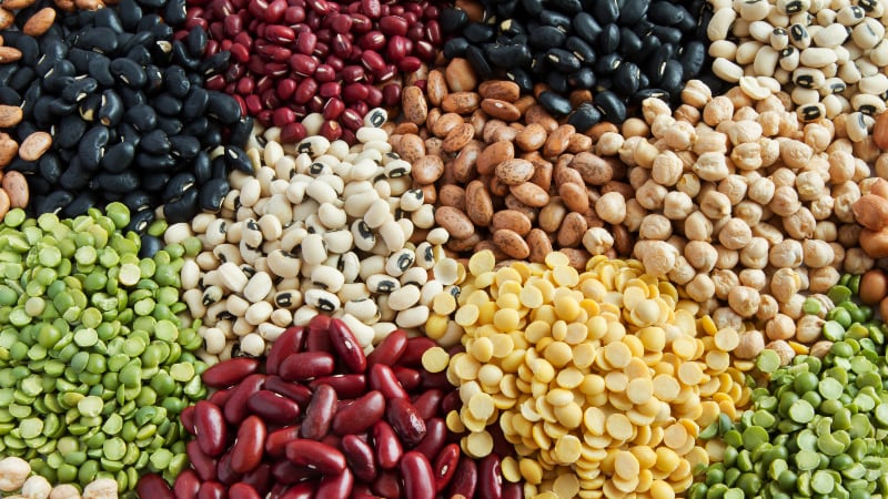Grains-fermented-by-lactic-acid-producing-Bacillus-coagulans-could-reduce-visceral-fat.jpg