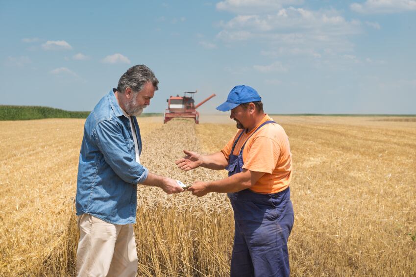 wheat-trade-farmers.jpg