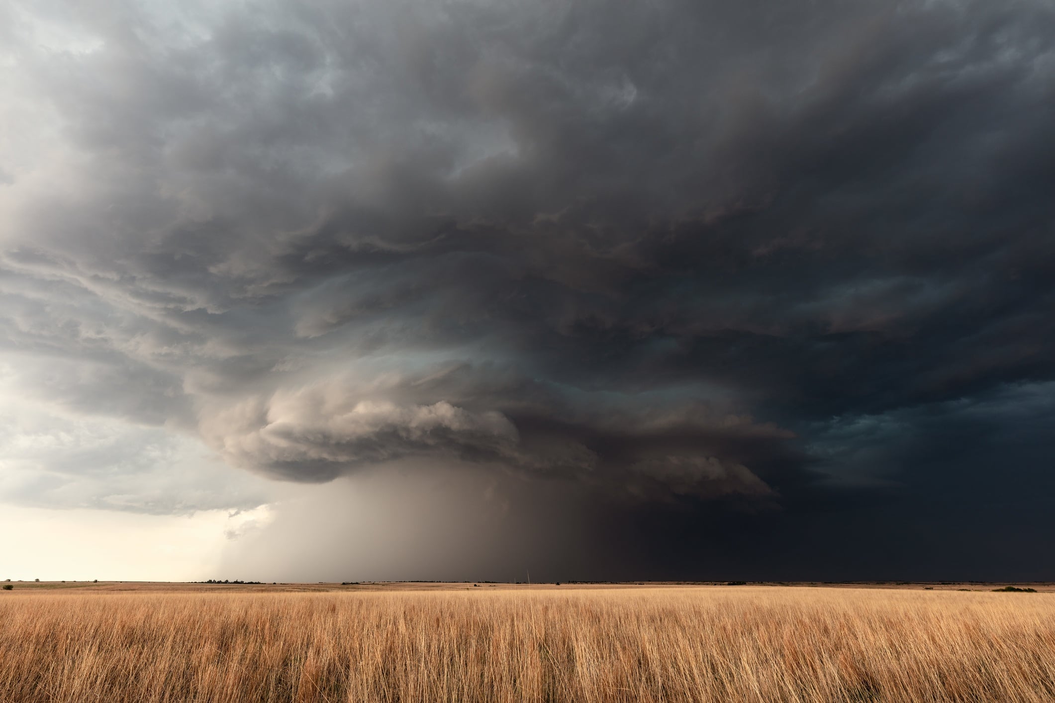 Wheat fields in Greensburg, United States during storm.