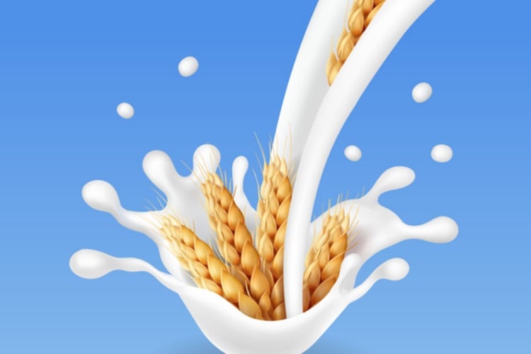 New dietary fibre insights drive nutritional and health launches