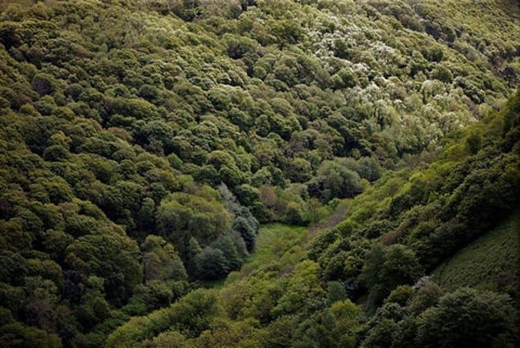 Exmoor-Carbon-Project.jpg