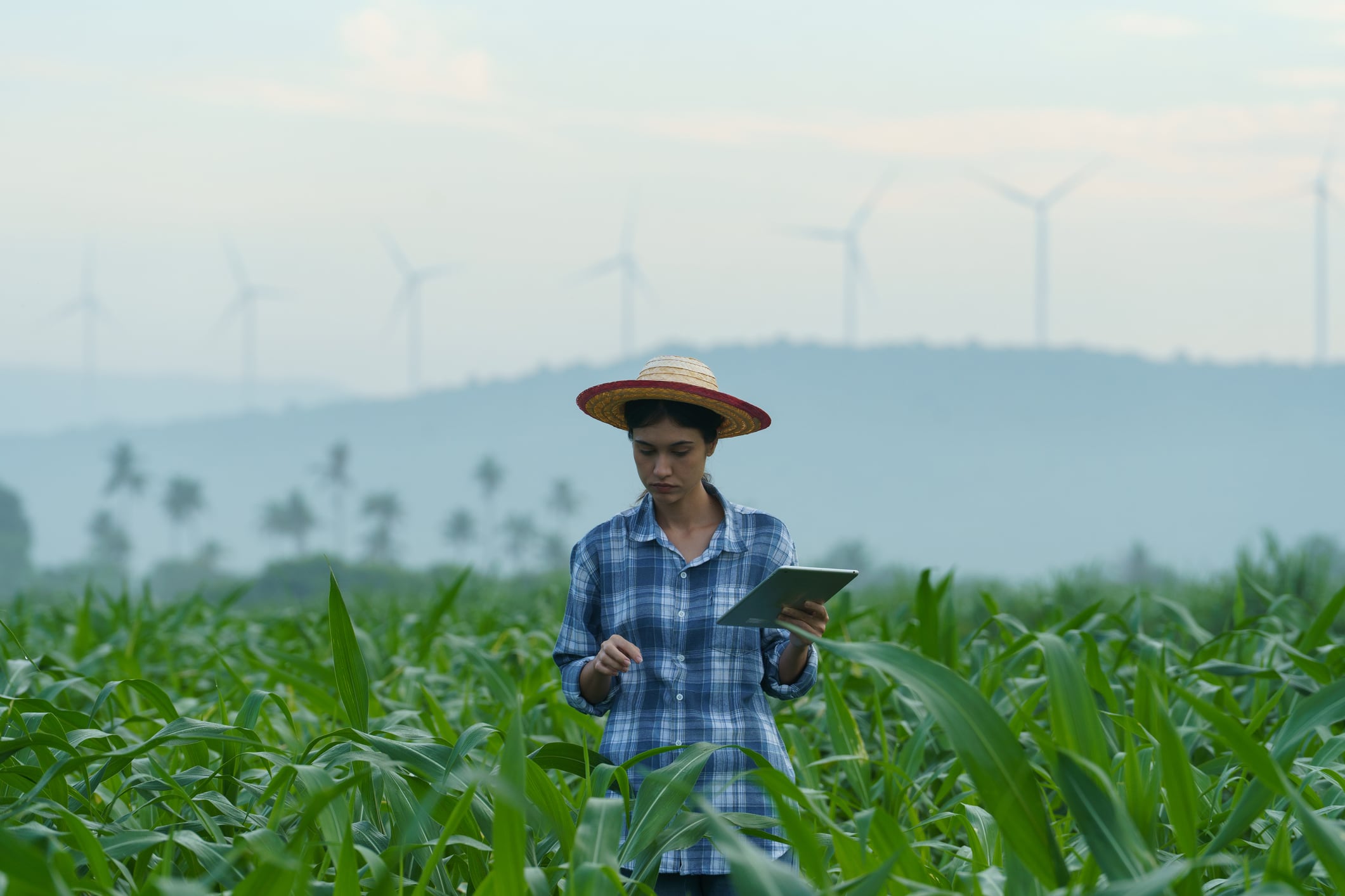 Climate Smart 2026: Putting climate resilience at the centre of food and agriculture.