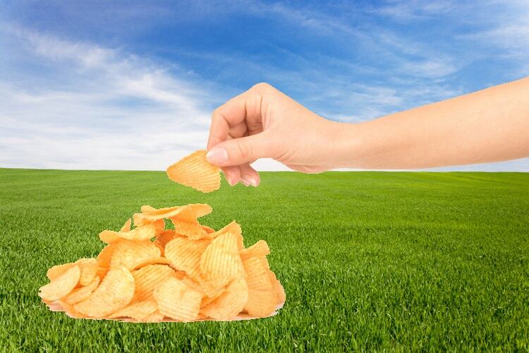 PepsiCo’s launches APAC greenhouse accelerator to unearth sustainable packaging and climate answers