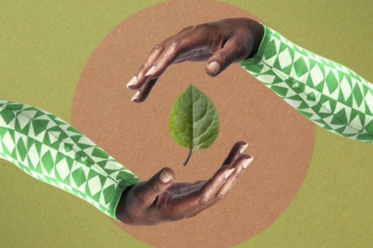 Royal DSM launches next gen ‘free from’ plant protein