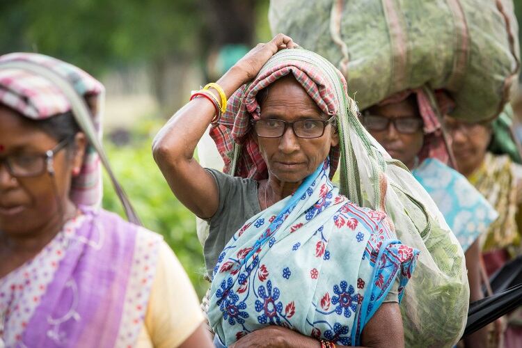 Global eye-care campaign calls on bakery and snack producers, among other sectors, to end poor vision for 20 million workers