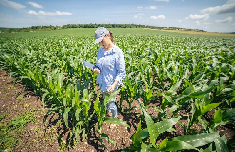From fields to food: How the plant-based industry can boost regenerative agriculture