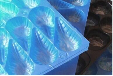 EFSA-insert-trays.png