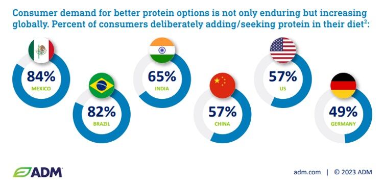 ADM-protein-report-3.jpg