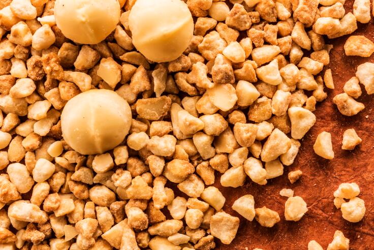 La-Morella-caramelized-macadamia-Pic-Barry-Callebaut.jpg