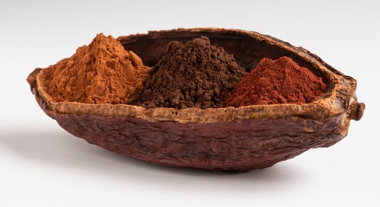 dezaan-cocoa-pod-3-types-powder.jpg