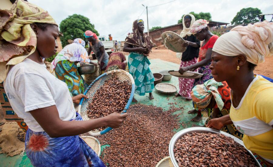 Consumer demand for sustainably sourced products sees Fairtrade sales boom