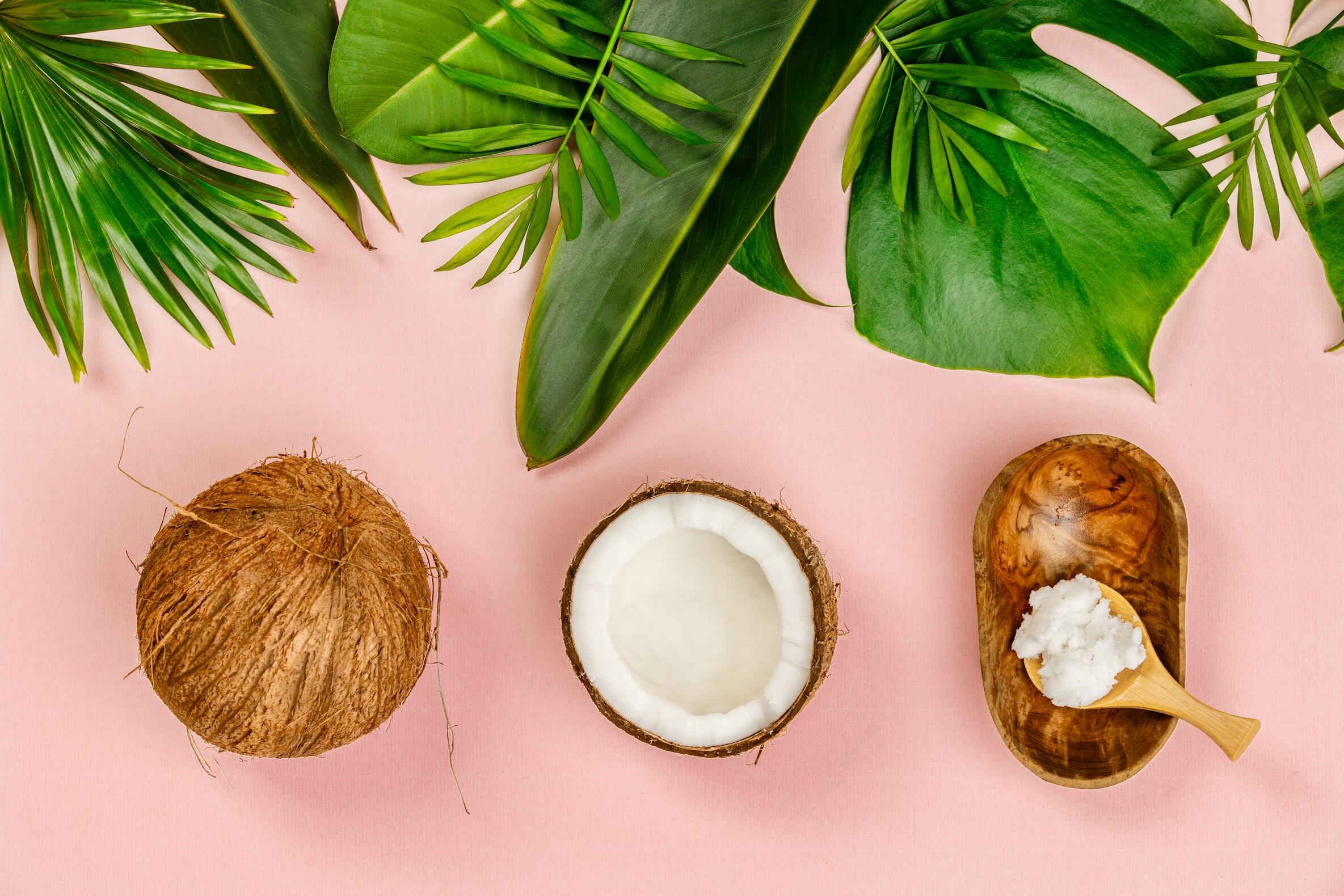 Coconut.jpg