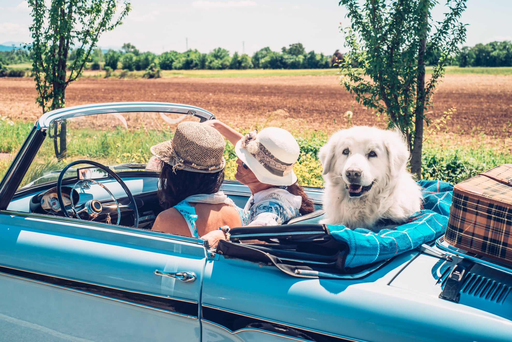 Buckle up & munch on: Cheez-Its, crêpes and canine treats fuel this year’s ultimate road trip