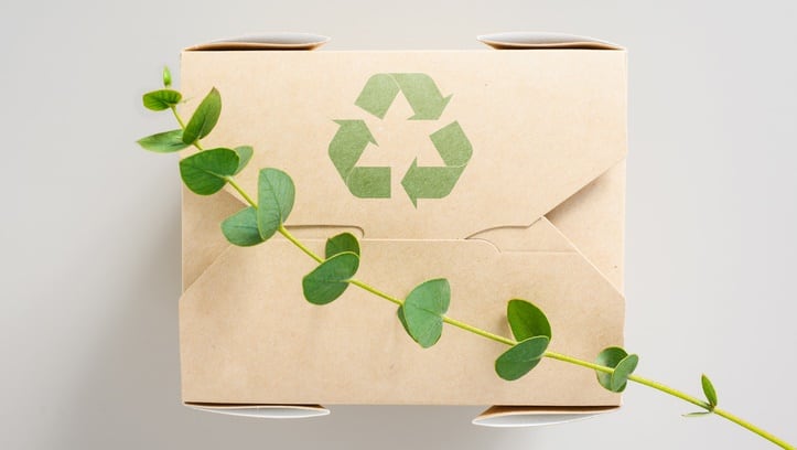 Paper food container with a recycling sign and a branch of a green plant. Eucalyptus branch on an eco-friendly cardboard box. Zero waste concept