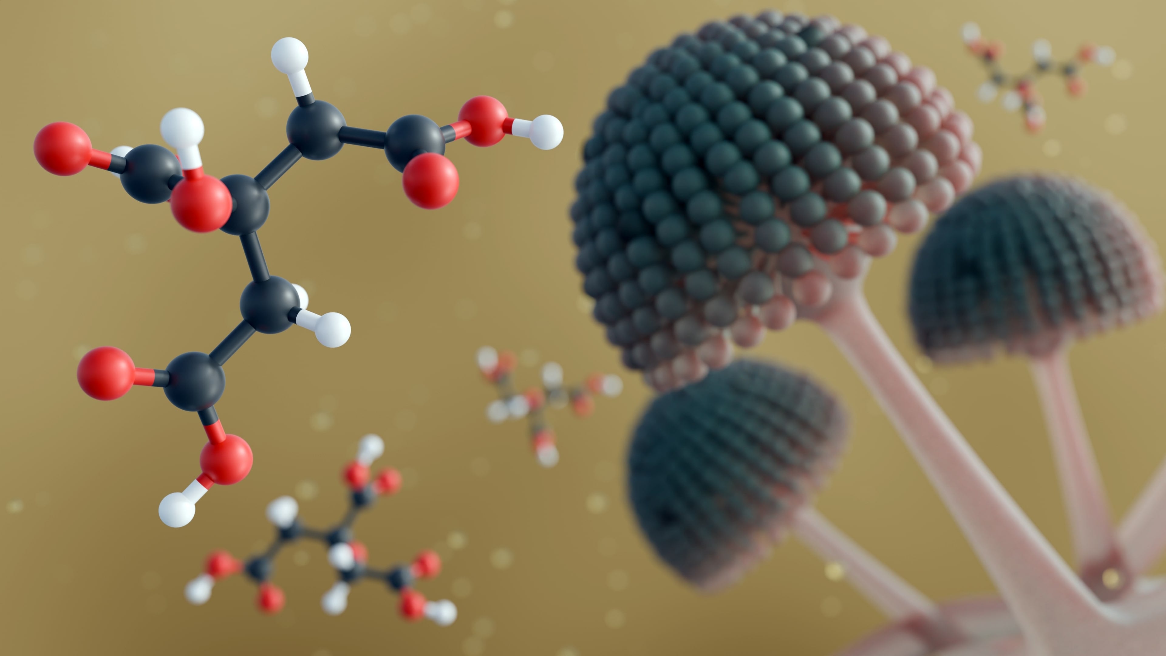 The black mold behind the tang – Aspergillus niger is the unlikely source of most citric acid in snacks.