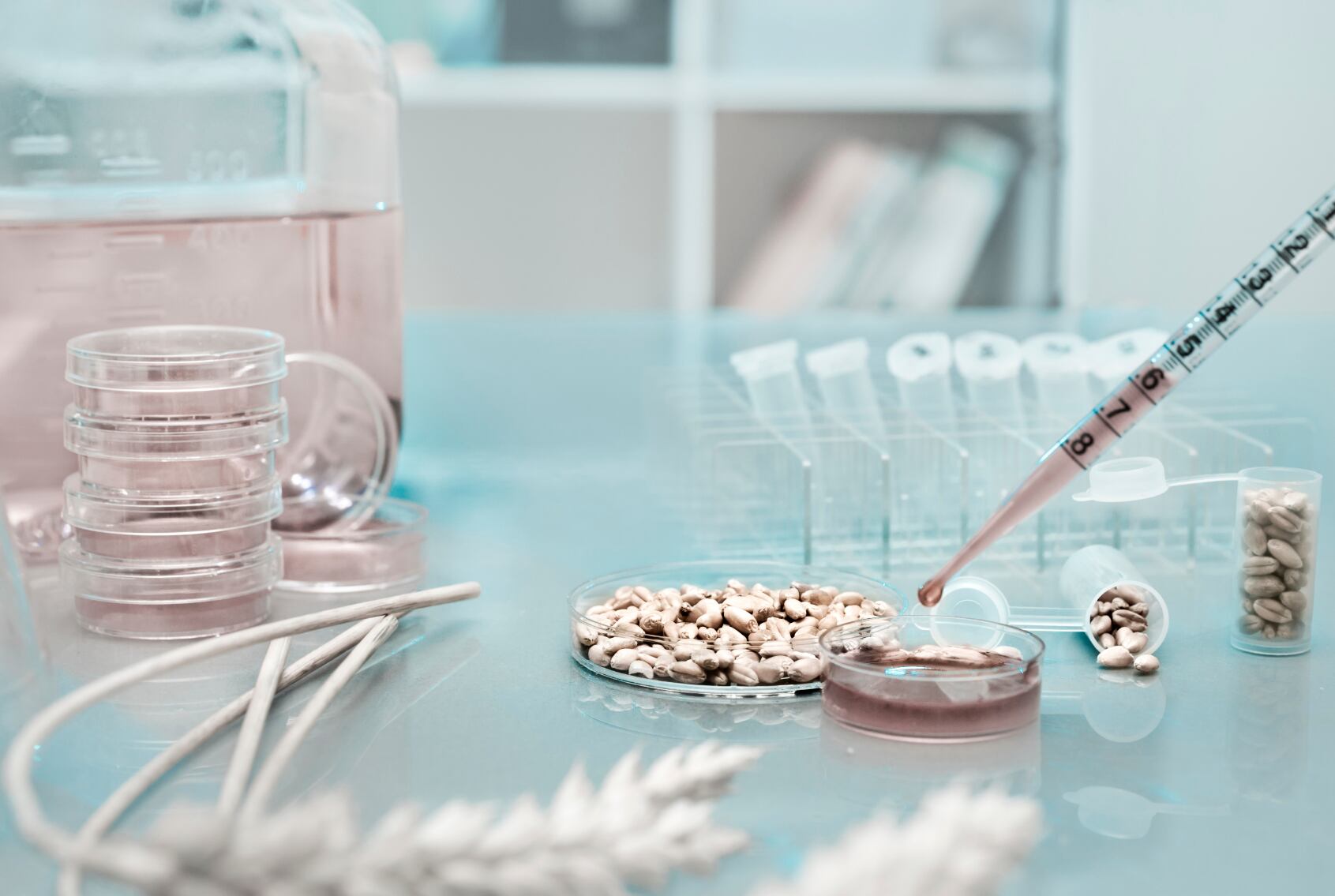 wheat-science-lab.jpg