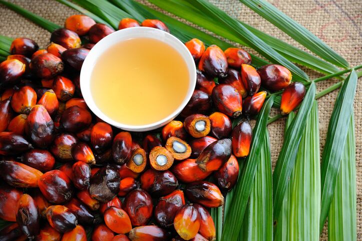 On the road to sustainability: Musim Mas to advance traceability of palm oil by third quarter