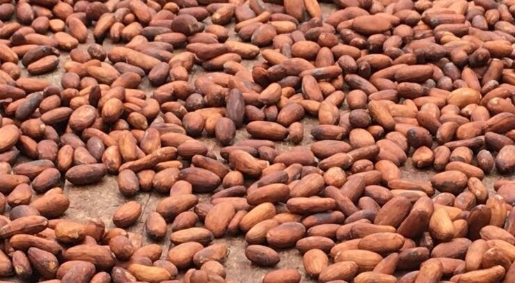Chocolate-sees-price-spike-after-drop-in-supply-of-cocoa-and-other-ingredients.jpg