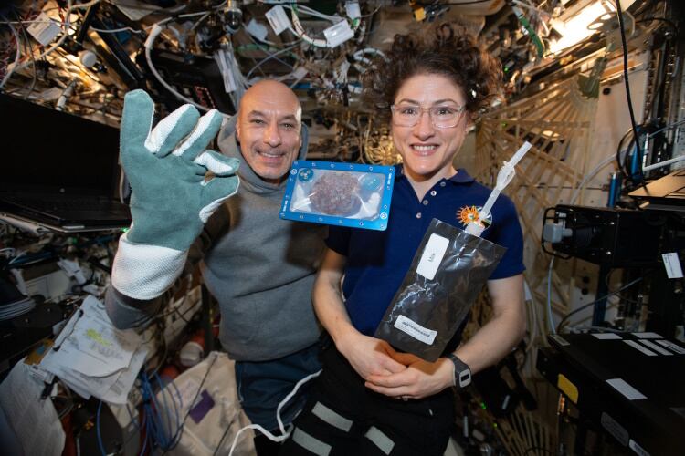 Astronauts-Commander-Luca-Parmitano-and-Christina-Koch-with-Milk-and-Cookies_HR-1.jpg