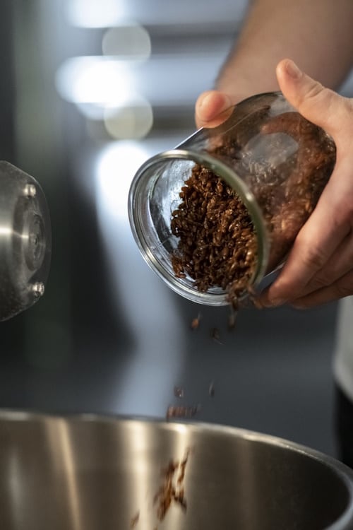 Puratos’ sprouted rye answers the wellness brief without losing the bakery bite.