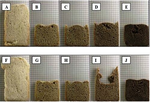 teff-panes-ENG.jpg