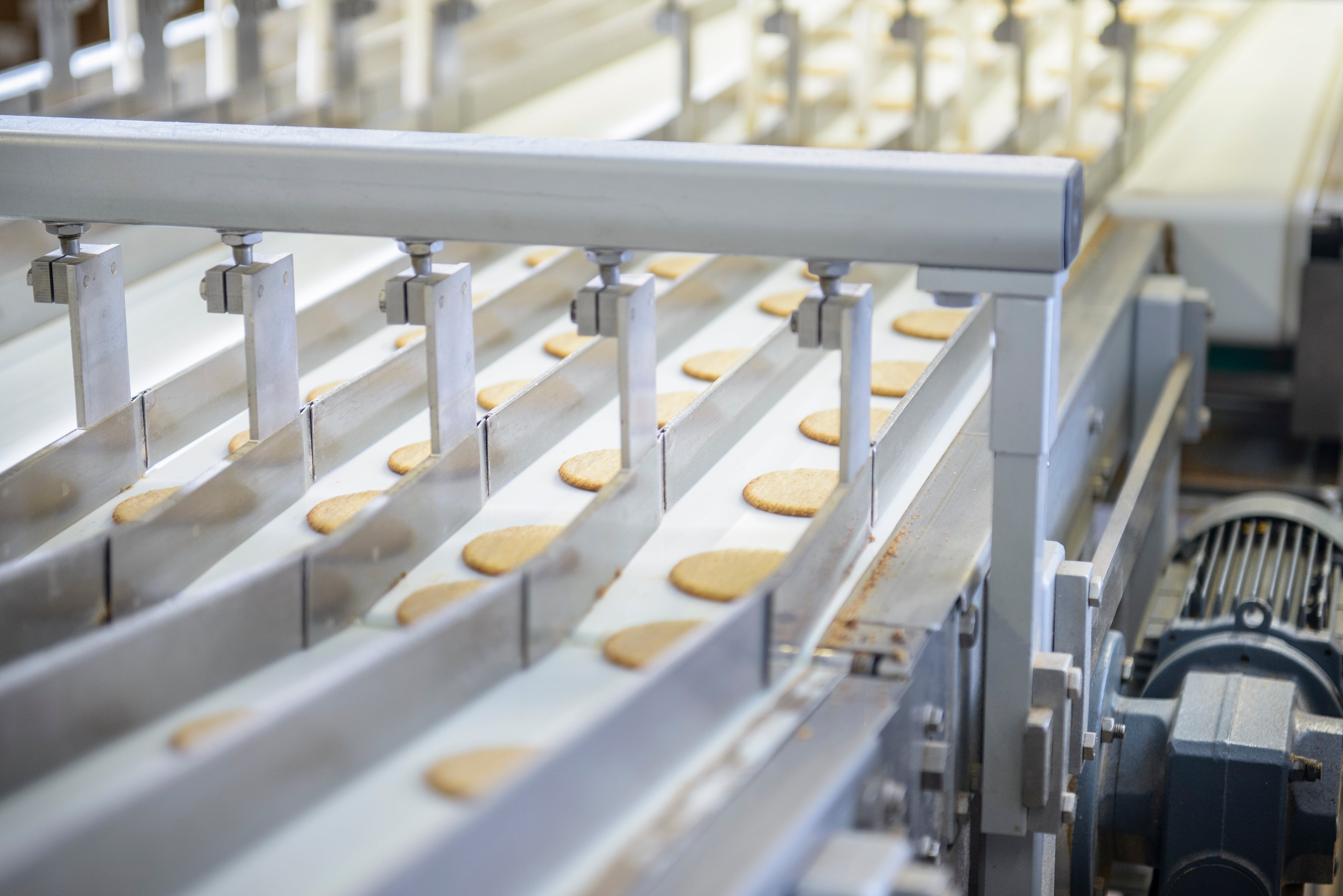 Freshly made biscuits on production line in food factory