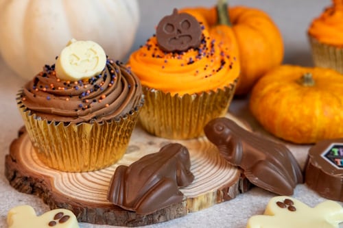 Birds Halloween Range