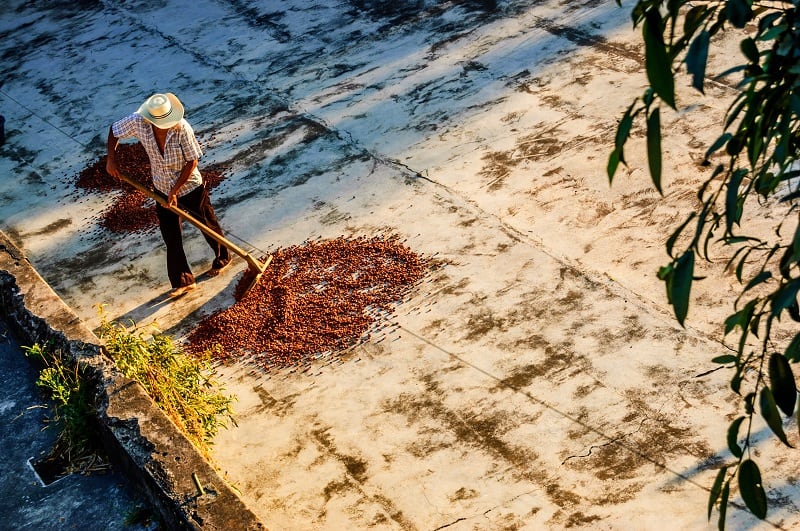 Cargill: ‘Technology is moving us closer towards maximum transparency and traceability’