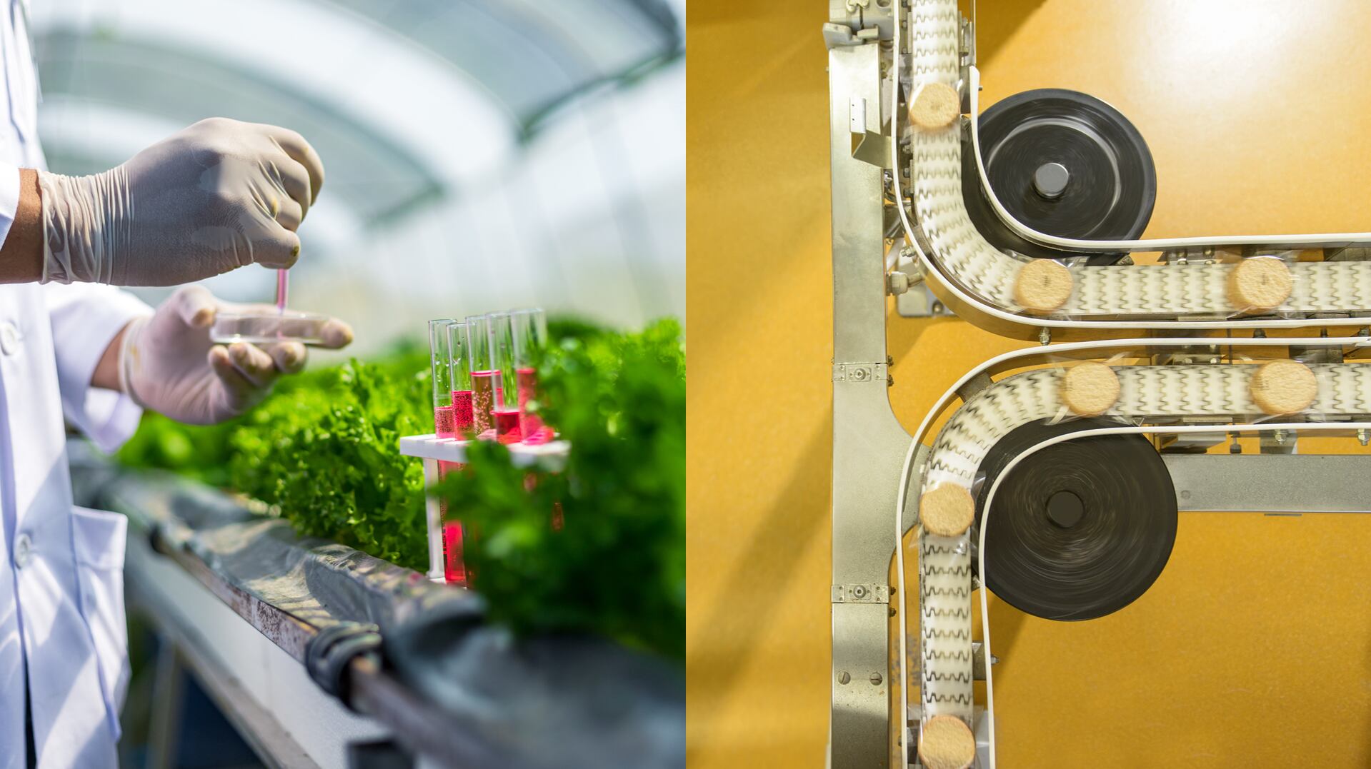 From precision fermentation to cultivated meat, protein startups are producing increasingly credible breakthroughs, but turning them into viable businesses remains the real challenge.