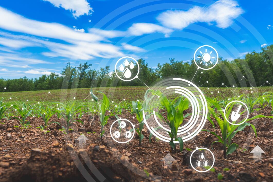 Digitalisation, distribution and biotech: Rabobank talks next gen food tech innovation