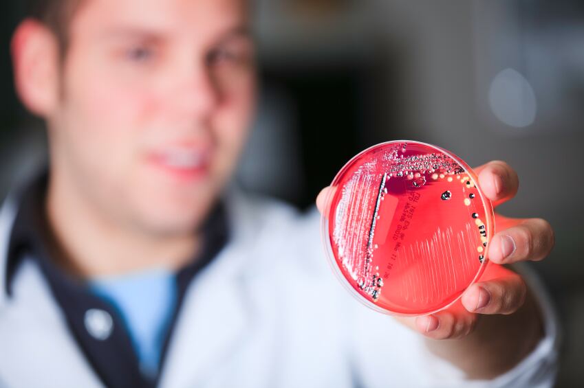 microbiome-petridish.jpg