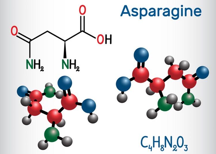 What are the next steps in acrylamide mitigation?