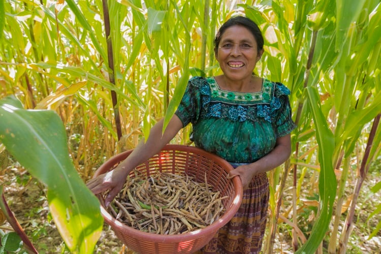 PepsiCo-women-farmer-FTP-Edelman.jpg