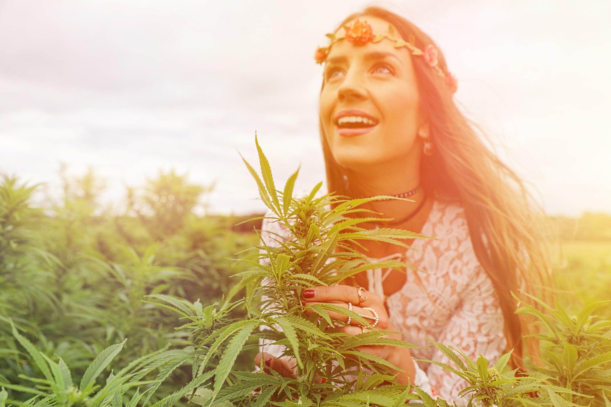 Why is Smucker’s hitching Hostess’ comeback to cannabis culture?