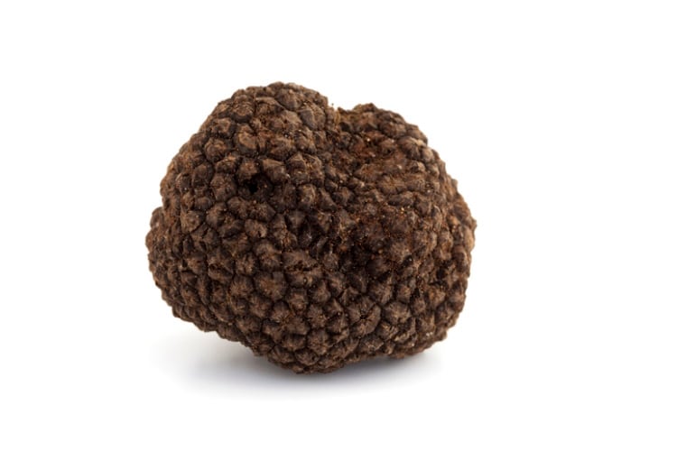 Truffle-Getty.jpg