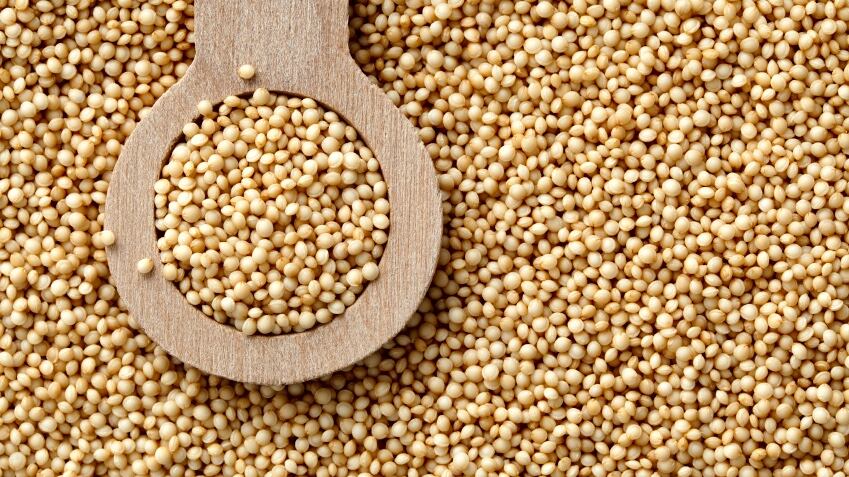 seeds.jpg
